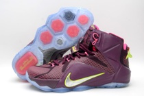 LeBron James Shoes 12-06